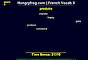 French Floating Flashcards Program